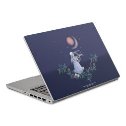 Foils for Laptops matt