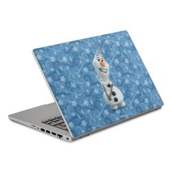 Foils for Laptops matt