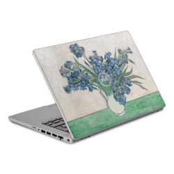 Foils for Laptops matt