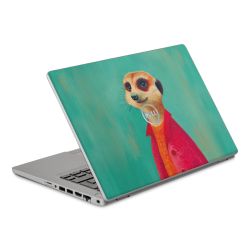 Foils for Laptops matt