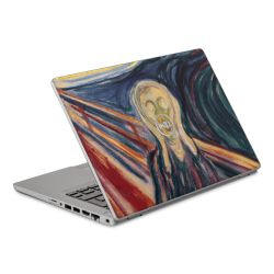 Foils for Laptops matt