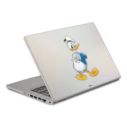 Foils for Laptops matt