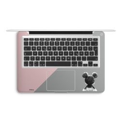 Foils for Laptops matt