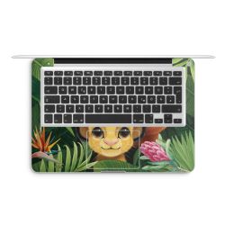 Foils for Laptops matt