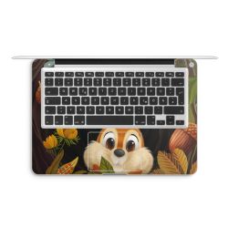 Foils for Laptops matt