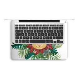 Foils for Laptops matt