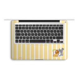 Foils for Laptops matt