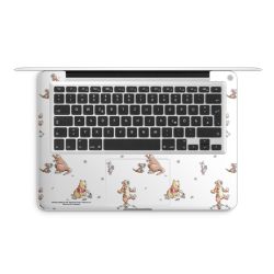 Foils for Laptops matt