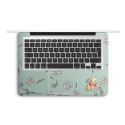 Foils for Laptops matt