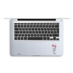 Foils for Laptops matt