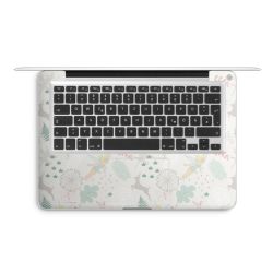 Foils for Laptops matt