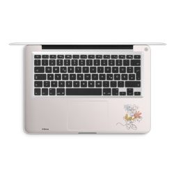 Foils for Laptops matt