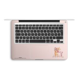 Foils for Laptops matt