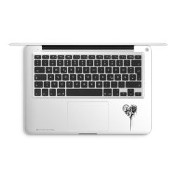 Foils for Laptops matt