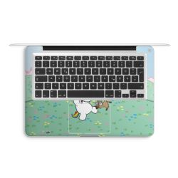 Folien für Laptops matt