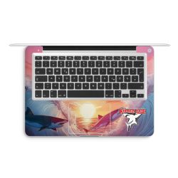 Foils for Laptops matt