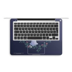 Foils for Laptops matt