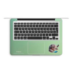 Foils for Laptops matt