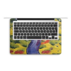 Foils for Laptops matt