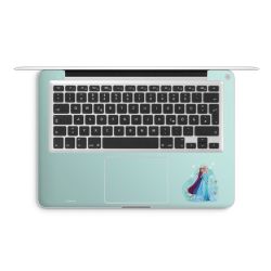 Foils for Laptops matt