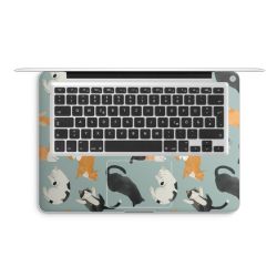 Foils for Laptops matt