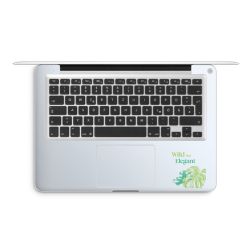 Foils for Laptops matt