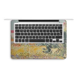 Foils for Laptops matt