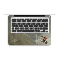 Foils for Laptops matt