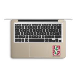 Foils for Laptops matt