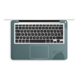 Foils for Laptops matt