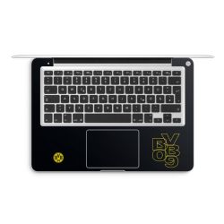 Foils for Laptops matt