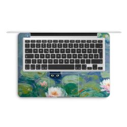 Foils for Laptops matt