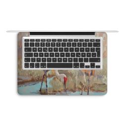 Foils for Laptops matt