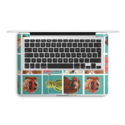 Foils for Laptops matt