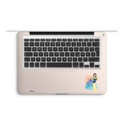 Foils for Laptops matt