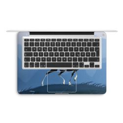 Foils for Laptops matt