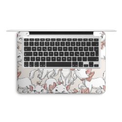 Foils for Laptops matt