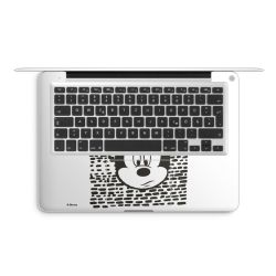 Foils for Laptops matt