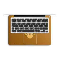 Foils for Laptops matt