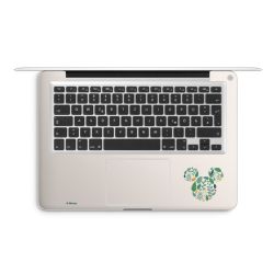 Foils for Laptops matt