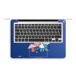 Foils for Laptops matt