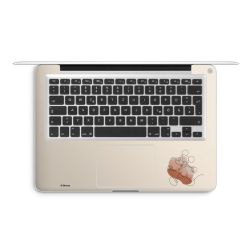 Foils for Laptops matt