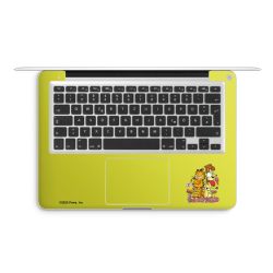 Foils for Laptops matt