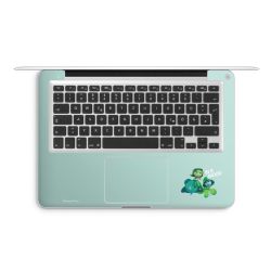 Foils for Laptops matt