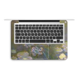 Foils for Laptops matt