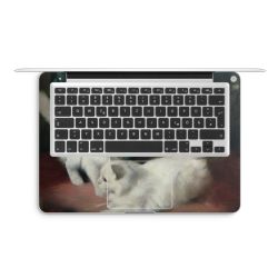 Foils for Laptops matt