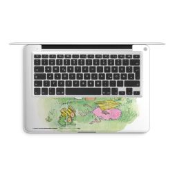 Foils for Laptops matt