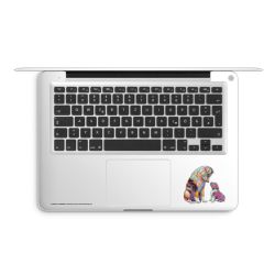 Foils for Laptops matt