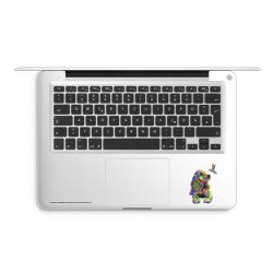 Foils for Laptops matt