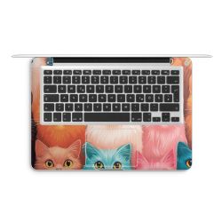 Foils for Laptops matt